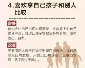 教养作文800字，教养作文500