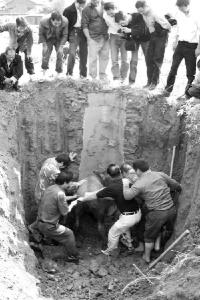 无头无尾一亩田打一字谜底