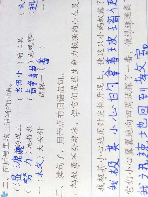 用却造句子二年级，用却造句简单