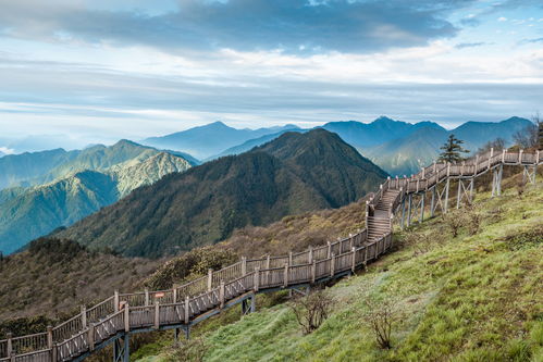 “顶”字的近义词有哪些?