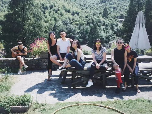 大乐透机选投注，大乐透走势图新浪