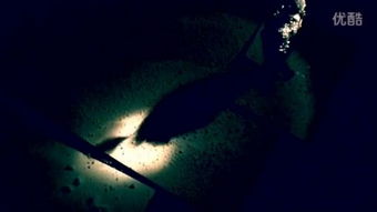 frost是什么意思及用法