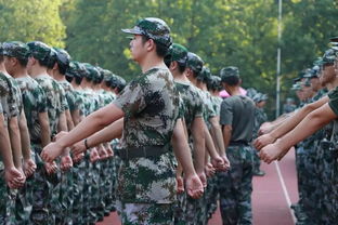 军训感悟300字左右，军训感悟1500字大学生