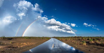 倏忽的意思解释
