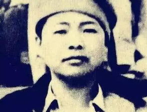 杨金秀图片，杨金柱 东北大学