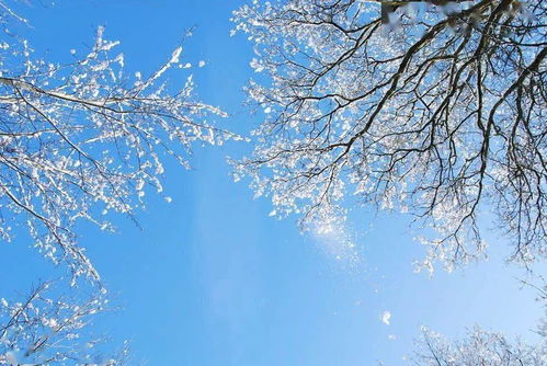 多少春情意 小风疏雨萧萧地 有催下 千行泪 吹啸人去玉楼空 肠
