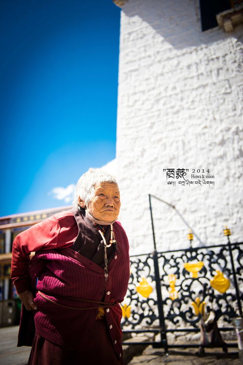 虔诚的拼音，虔诚的读音