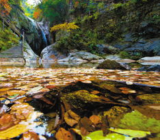 寒石简介，寒石散功效与作用