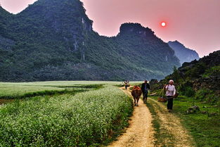 乡间小路的原唱是谁?