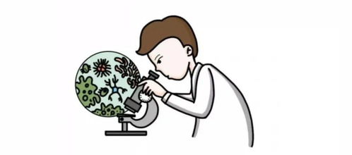 舒服的英文怎么说?