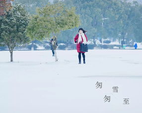 良言一句三冬暖全诗