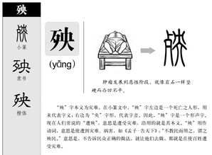 殃组词语和部首，殃组词语词语有哪些