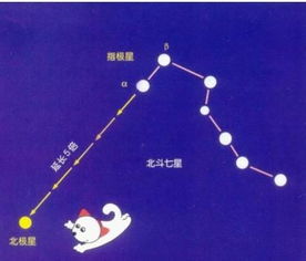 7星解梦大全，七星堂解梦