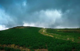 邙是什么字.什么意思?怎么读?