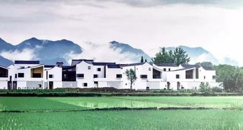 参差错落的意思是什么