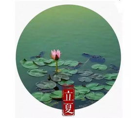 二十四节气简短小故事100字