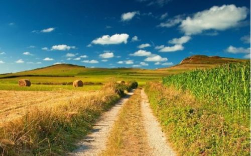 乡间的小路原唱童声，乡间的小路原唱刘文正