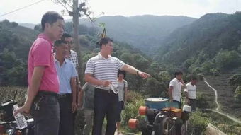 东田村位于哪里