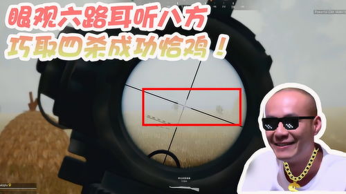 眼观六路耳听八方是什么生肖，眼观六路耳听八方,明若观火心明镜代表什么生肖