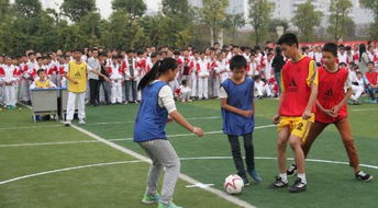 关于运动会的口号?