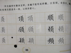 盖的偏旁是什么