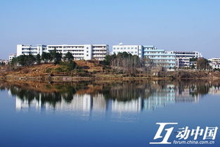 我家住在江之尾,半环山半环水.是哪首歌中的一句?