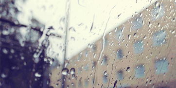 又下雨了发朋友圈的句子，又下雨了怎么回复