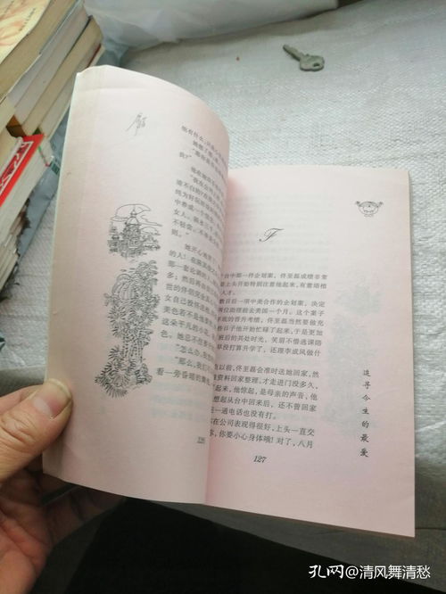 追求,追寻,追逐,各是什么意思,有什么区别?