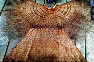 “簑衣”和“蓑衣”哪个对?