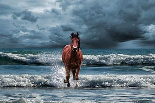 十二生肖岁数年龄表1990,属马的年份及年龄对照?