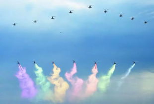 兔起鹘落是什么意思