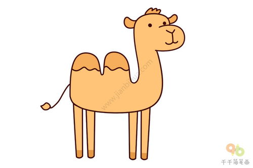 骆驼简笔画简单又漂亮，沙漠骆驼简笔画