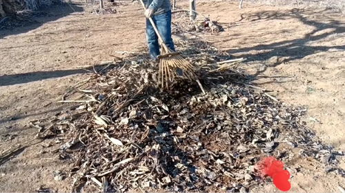 土生土长作农田猜生肖，土生土长农家人是什么生肖