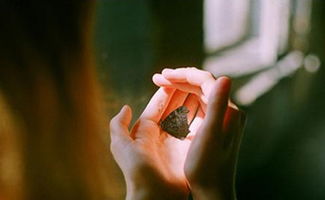 我学会了宽容作文600字，我学会了宽容作文500字