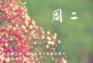 春分是什么时候?