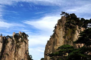 高大伟岸是什么意思，早春木棉红中的伟岸是什么意思