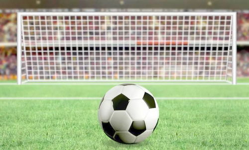 足球的拼音 足球的读音和解释