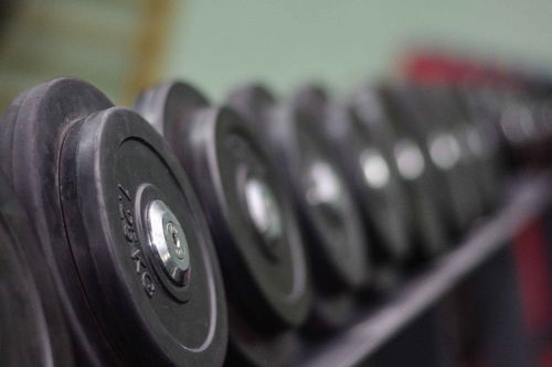 林字组词100个，楚字组词有哪些