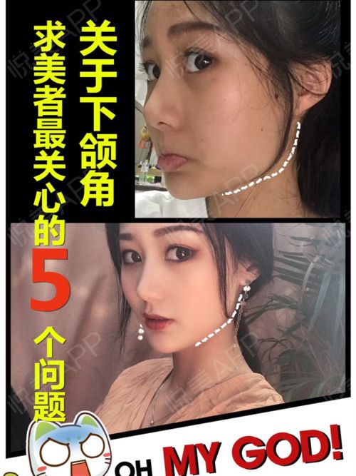 上海求美网络科技有限公司是不是中介