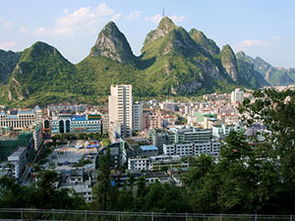 今天广西河池东兰的天气预报