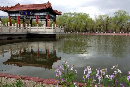 楼台倒影入池塘上一句，楼台倒影入池塘出自哪首诗