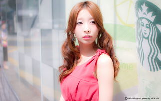 纱橱是什么意思