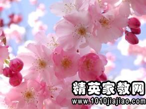 形容花的句子唯美，诗经里形容花的句子