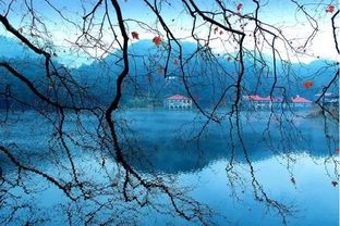 秋之韵的唯美句子，秋之韵读后感600字