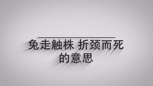 兔走触株的意思古今，兔走触株下一句