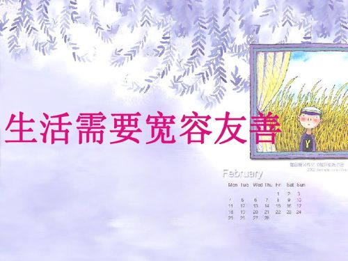 生活需要宽容作文，生活需要宽容作文800字议论文