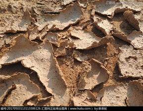 皴裂和皲裂读音，皴裂拼音怎么读