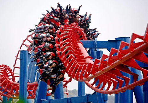 杭州乐园电话人工，杭州乐园官方网站