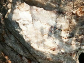 矿脉和矿体地质特征