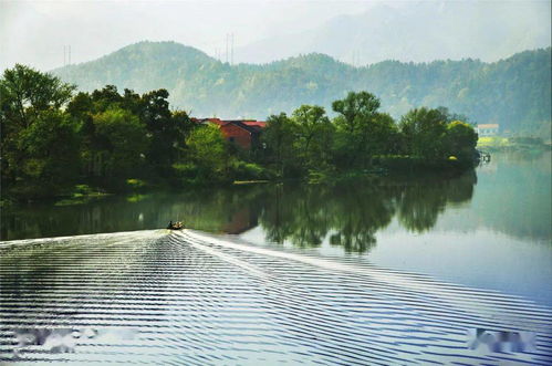 家乡的河歌曲，家乡的河流作文500字